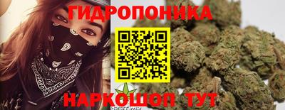 молекула духа Краснокаменск