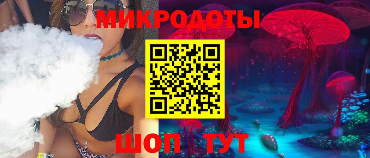 Димитровград  где найти наркотики  Вход с VPN  Галлюциногенные грибы Psilocybine cubensis 
